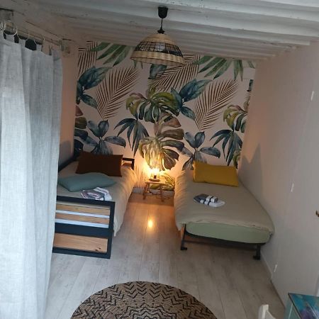 Le Logis De La Rue Des Arts Apartman Blois Kültér fotó