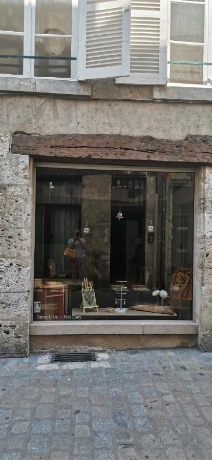 Le Logis De La Rue Des Arts Apartman Blois Kültér fotó