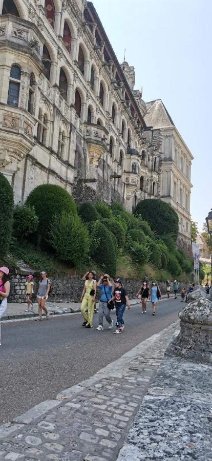 Le Logis De La Rue Des Arts Apartman Blois Kültér fotó