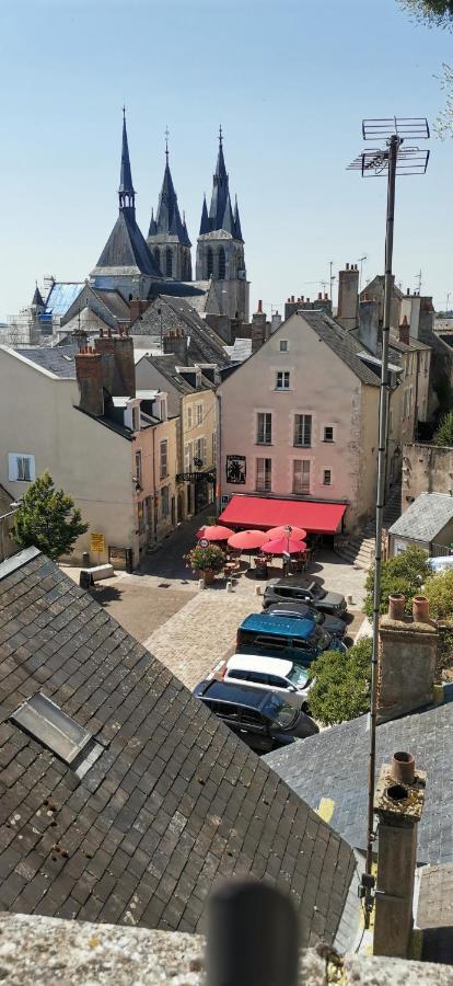 Le Logis De La Rue Des Arts Apartman Blois Kültér fotó