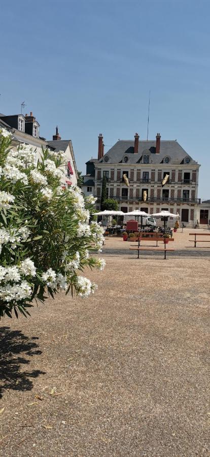 Le Logis De La Rue Des Arts Apartman Blois Kültér fotó
